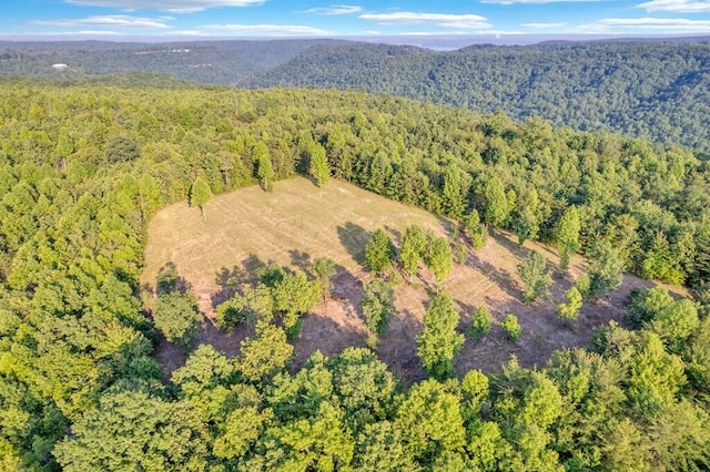 1450 Soak Creek Ln, Grandview, TN 37337 - photo 3