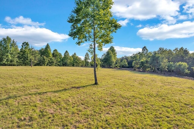 1450 Soak Creek Ln, Grandview, TN 37337 - photo 2