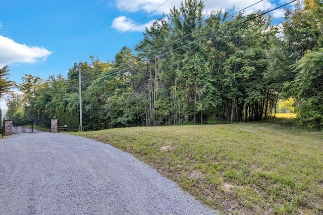 1450 Soak Creek Ln, Grandview, TN 37337 - photo 7