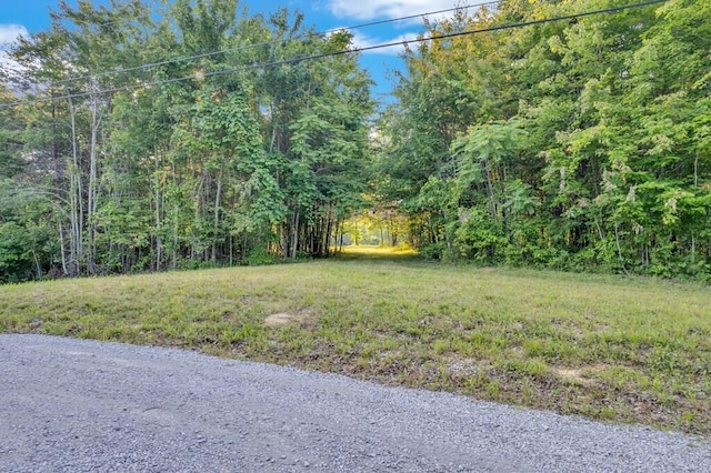 1450 Soak Creek Ln, Grandview, TN 37337 - photo 8