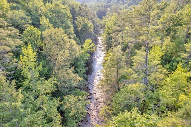 1450 Soak Creek Ln, Grandview, TN 37337 - photo 19