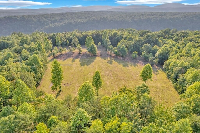 1450 Soak Creek Ln, Grandview, TN 37337 - photo 4