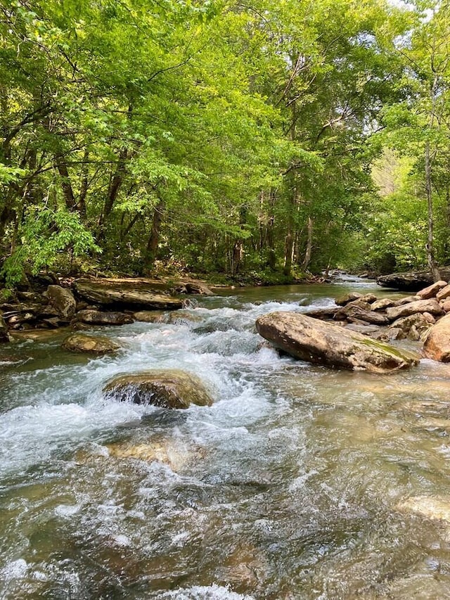 1450 Soak Creek Ln, Grandview, TN 37337 - photo 22