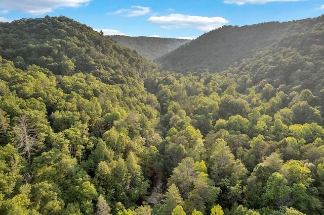 1450 Soak Creek Ln, Grandview, TN 37337 - photo 12