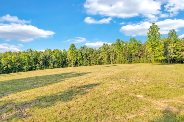 1450 Soak Creek Ln, Grandview, TN 37337 - photo 1