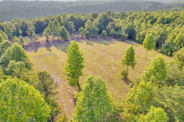 1450 Soak Creek Ln, Grandview, TN 37337 - photo 6