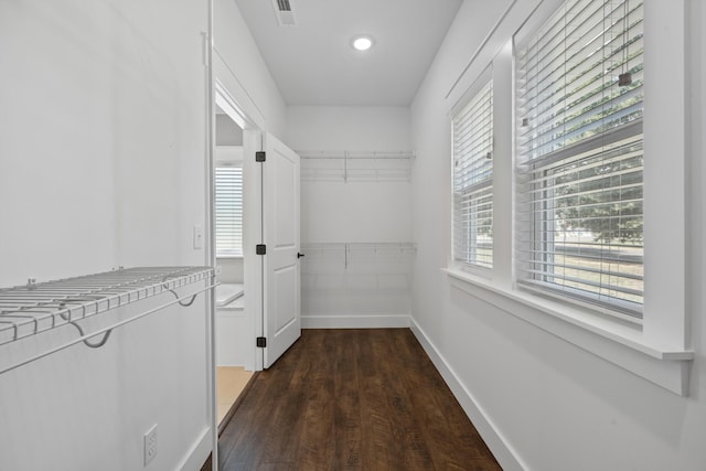 spacious closet with dark wood-type flooring