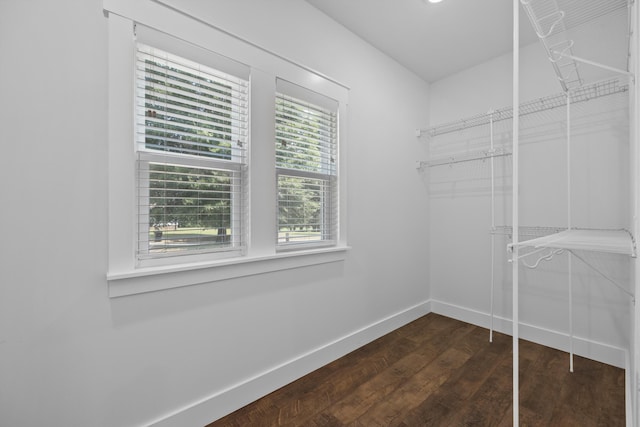 walk in closet with dark hardwood / wood-style flooring