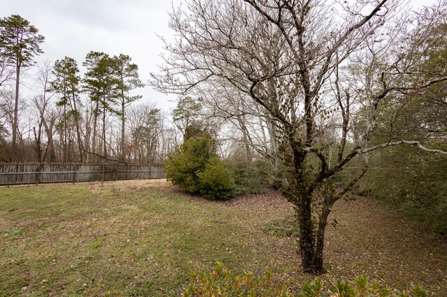 raised ranch with a front lawn