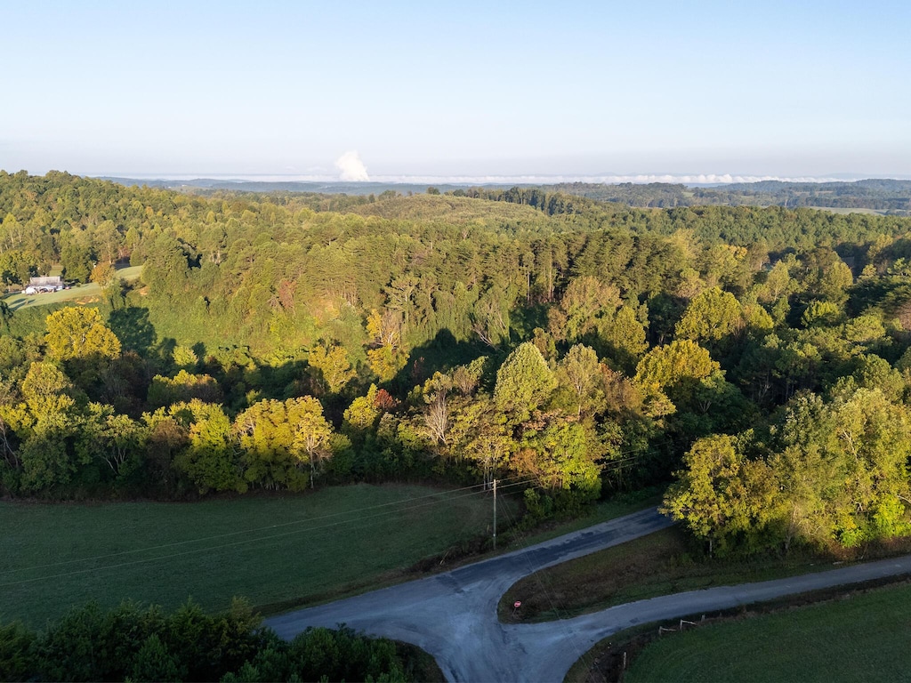 0 County Road 280, Niota, TN 37826 - photo 4