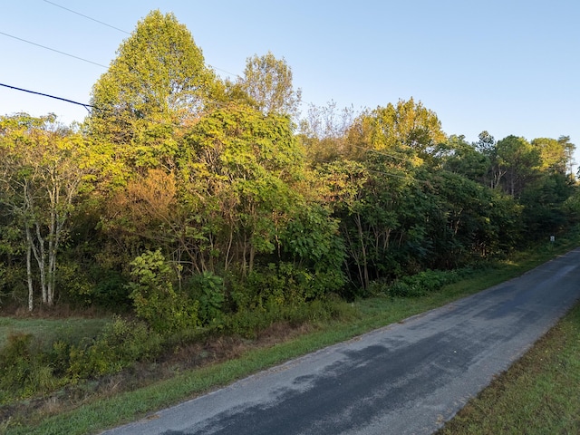 0 County Road 280, Niota, TN 37826 - photo 2