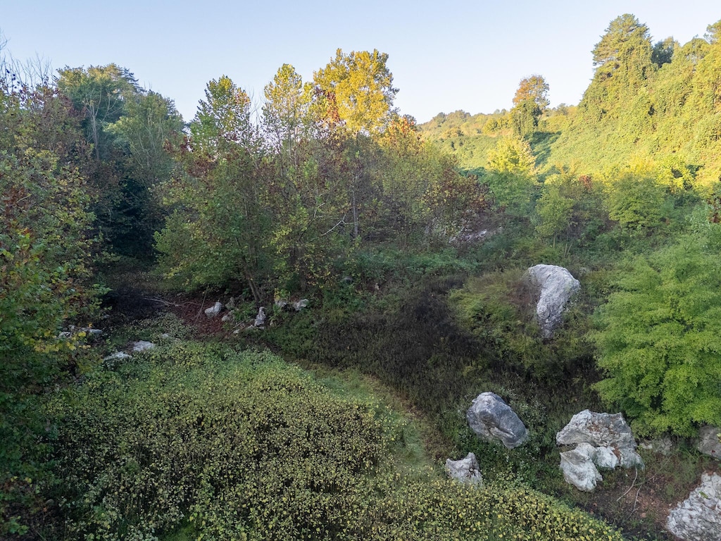 0 County Road 280, Niota, TN 37826 - photo 3