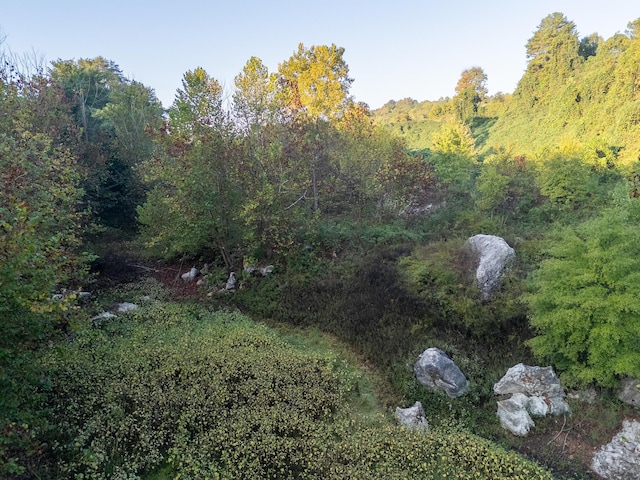 0 County Road 280, Niota, TN 37826 - photo 3