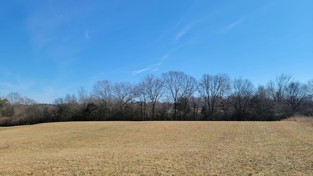 0 N Lee Hwy, Charleston TN, 37310 land for sale