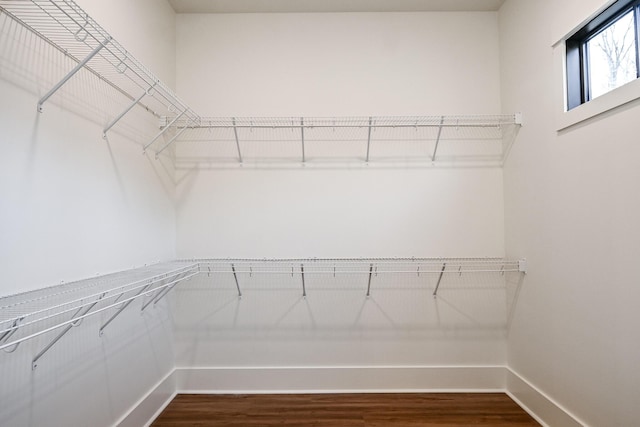 spacious closet with hardwood / wood-style flooring