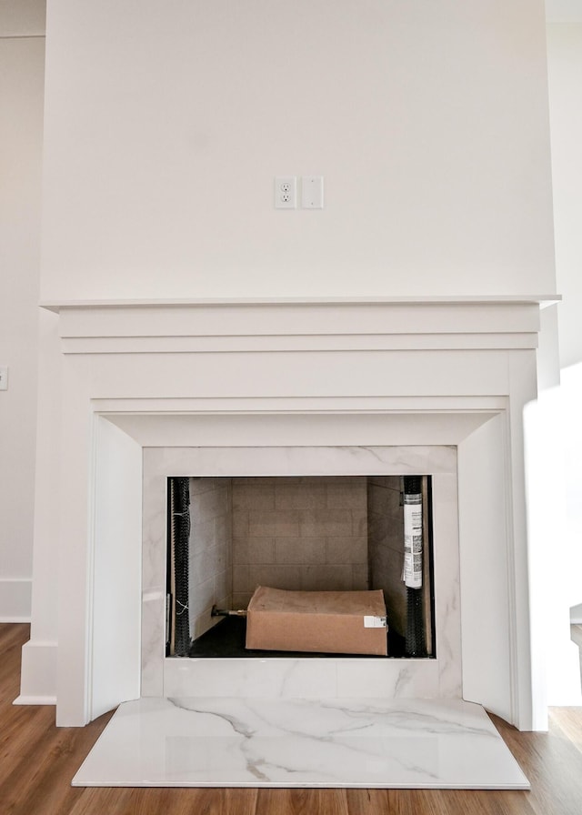 interior details with hardwood / wood-style floors and a high end fireplace