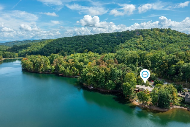 511 Laurel Lake Cir, Madisonville, TN 37354 - photo 6