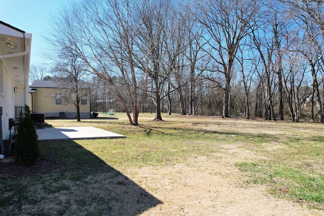 view of yard featuring a patio area
