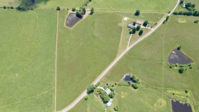 4431 Riggs Rd, Pikeville, TN 37367 - photo 37