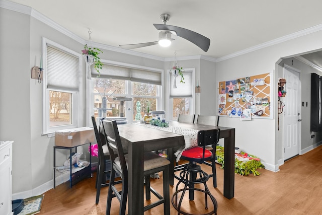 dining room with ornamental molding, ceiling fan, and light wood-type flooring