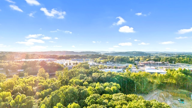 bird's eye view with a mountain view