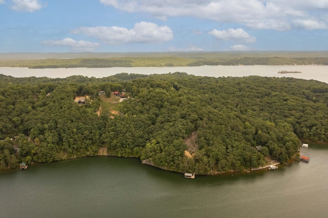 000 Oak Tree Dr, Spring City, TN 37381 - photo 1