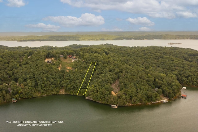 000 Oak Tree Dr, Spring City, TN 37381 - photo 7