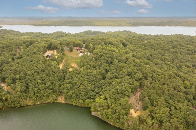 000 Oak Tree Dr, Spring City, TN 37381 - photo 4