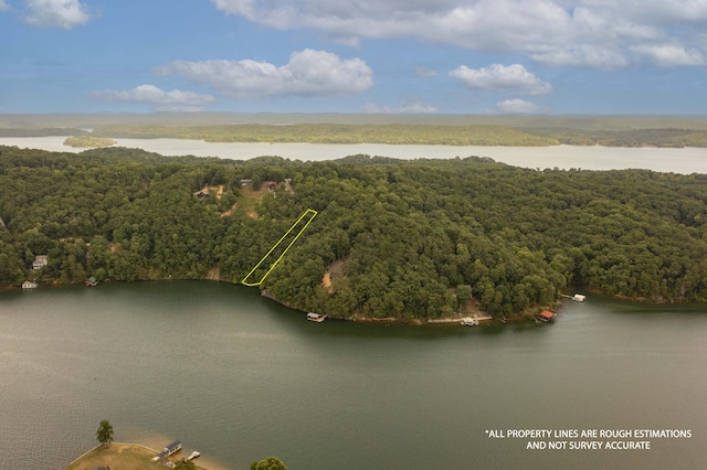 000 Oak Tree Dr, Spring City, TN 37381 - photo 6
