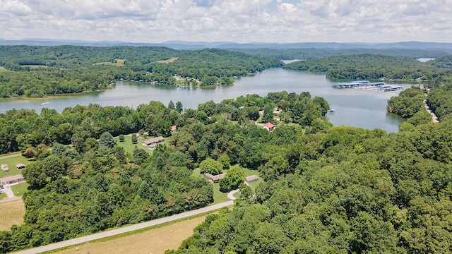 4154 River Rd, Ten Mile, TN 37880 - photo 36