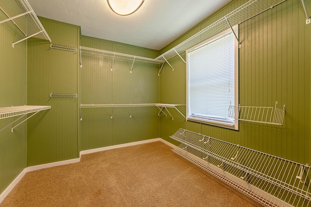 4154 River Rd, Ten Mile, TN 37880 - photo 22