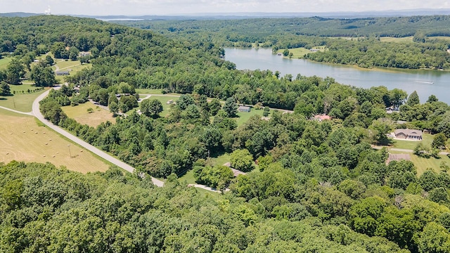 4154 River Rd, Ten Mile, TN 37880 - photo 37