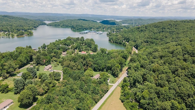 4154 River Rd, Ten Mile, TN 37880 - photo 39