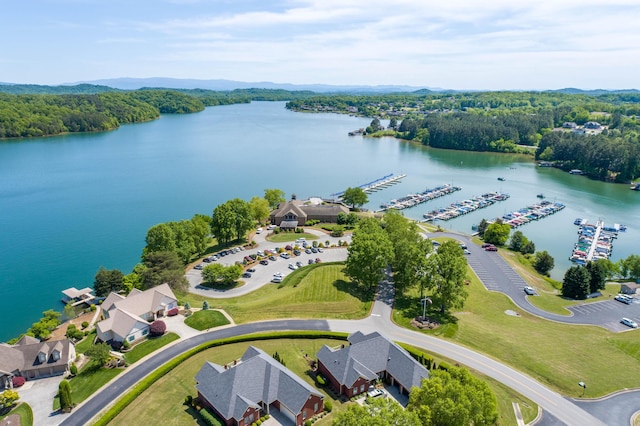 315 Agoli Ln, Loudon, TN 37774 - photo 52