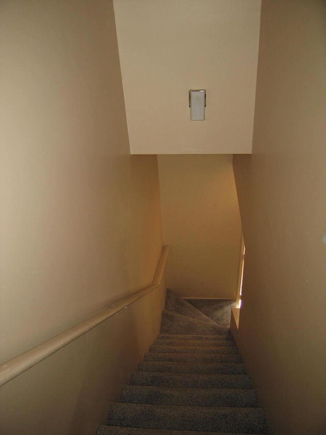 900 Stratford Cir NW, Cleveland, TN 37312 - staircase with carpet