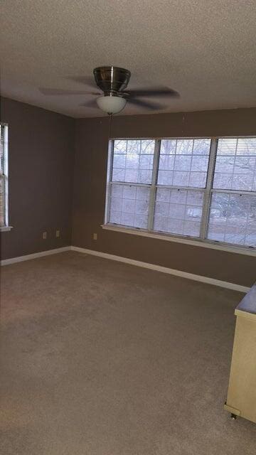 unfurnished room featuring ceiling fan, carpet floors, a wealth of natural light, and a textured ceiling