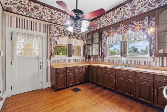 kitchen with dark brown cabinets, light hardwood / wood-style floors, a healthy amount of sunlight, and sink