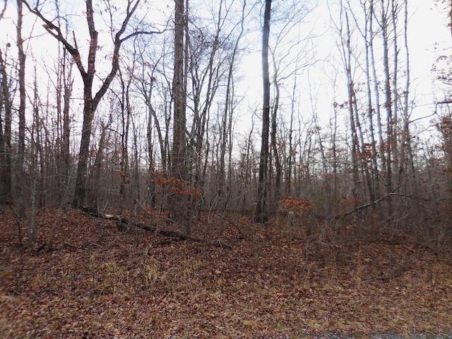 3008 Diego Dr, Crossville TN, 38572 land for sale