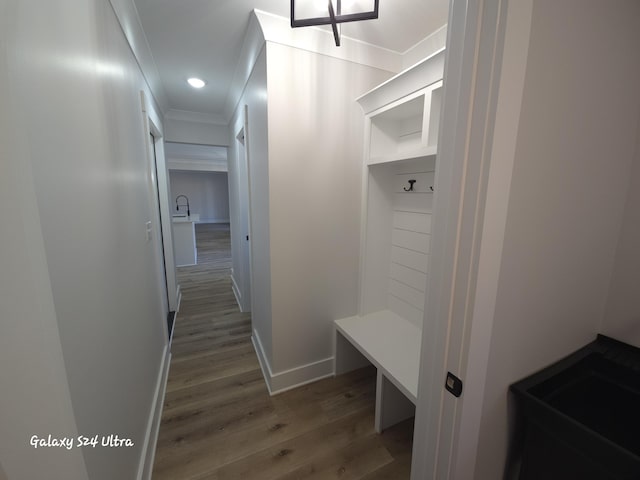 mudroom with dark hardwood / wood-style flooring and crown molding