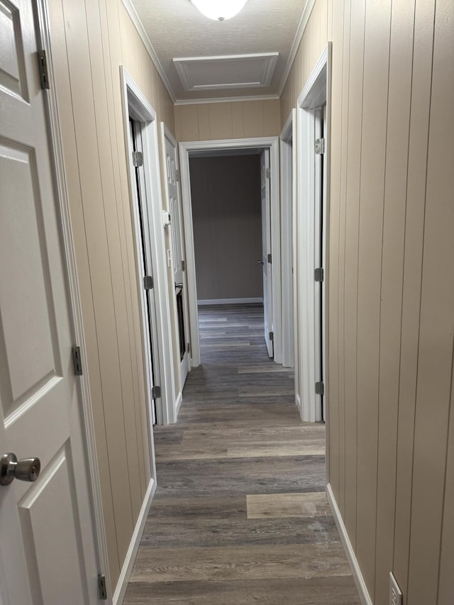 corridor featuring crown molding and dark wood-type flooring