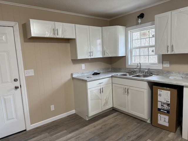 kitchen with sink, dark hardwood / wood-style floors, and white cabinets