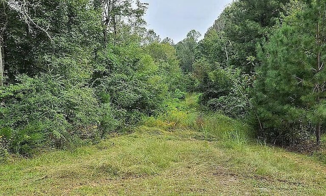 0 Bohannons Rd SE, Cleveland, TN 37323 - photo 15