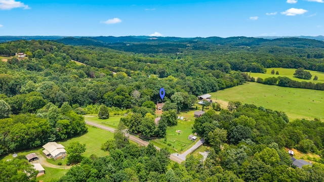 409 County Road 675, Riceville, TN 37370 - photo 10