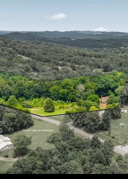 409 County Road 675, Riceville, TN 37370 - photo 2