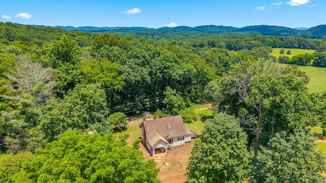 409 County Road 675, Riceville, TN 37370 - photo 6