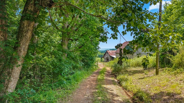 409 County Road 675, Riceville, TN 37370 - photo 5