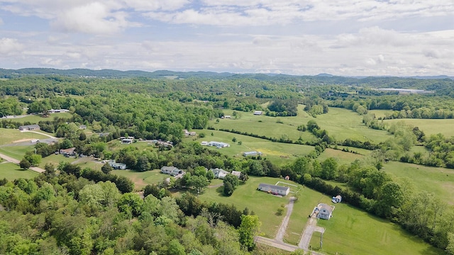 bird's eye view of a forest