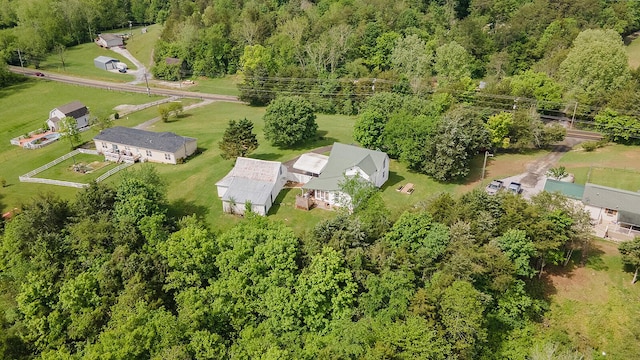 drone / aerial view of a forest