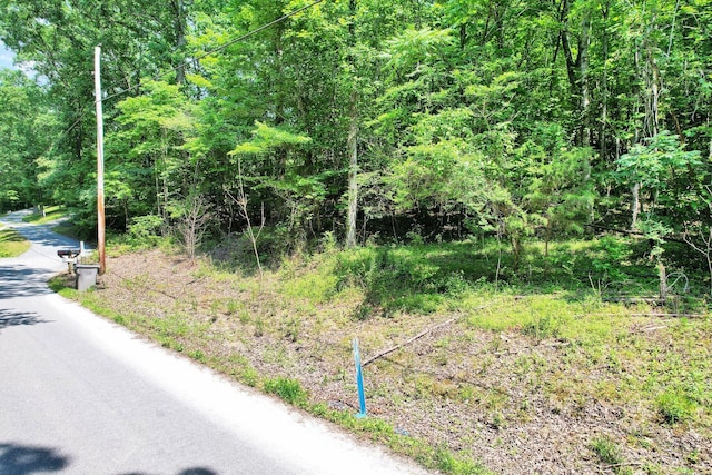 4019 Lee Pike, Soddy-Daisy, TN 37379 - photo 3
