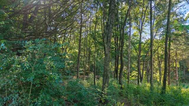 000 Kinzalow Cir, Sweetwater, TN 37874 - photo 11